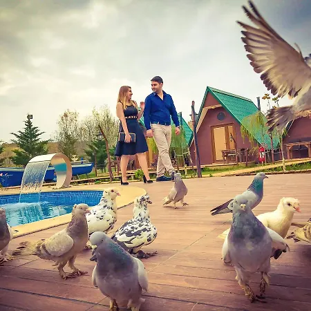 Nirvana Dream Garden