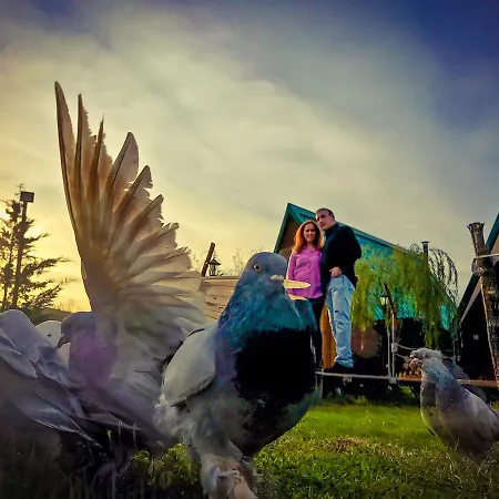 Ξενοδοχείο Nirvana Dream Garden Agva (Marmara)