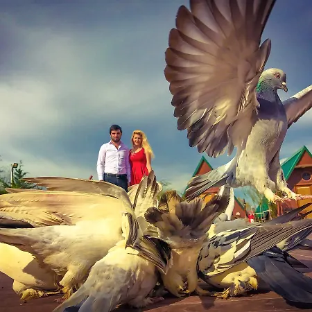 Nirvana Dream Garden