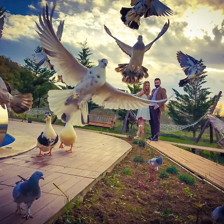Hotel Nirvana Dream Garden Agva (Marmara)