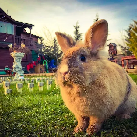 Hotel Nirvana Dream Garden Ağva