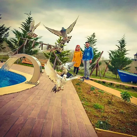 Nirvana Dream Garden Agva (Marmara)