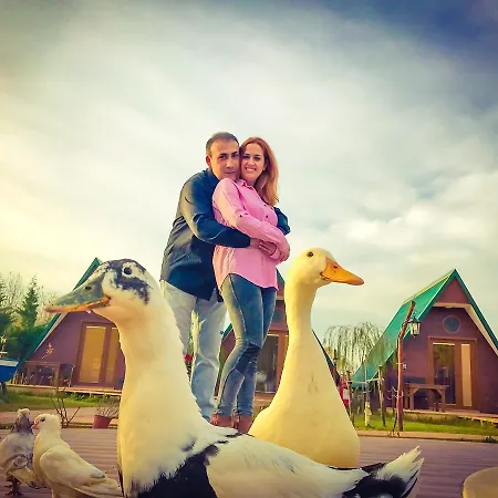 Hotel Nirvana Dream Garden *