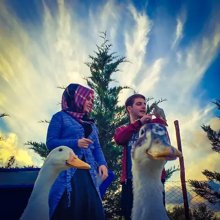 Nirvana Dream Garden *