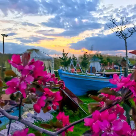 Hotel Nirvana Dream Garden