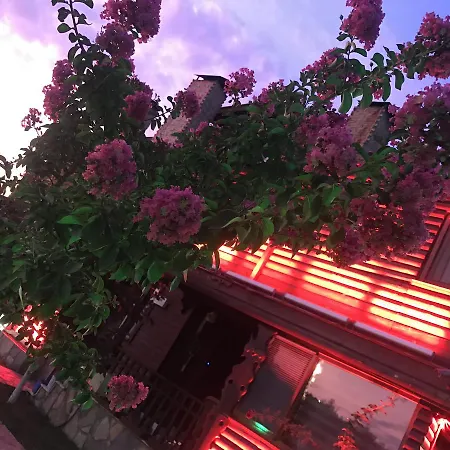 Nirvana Dream Garden Hotel