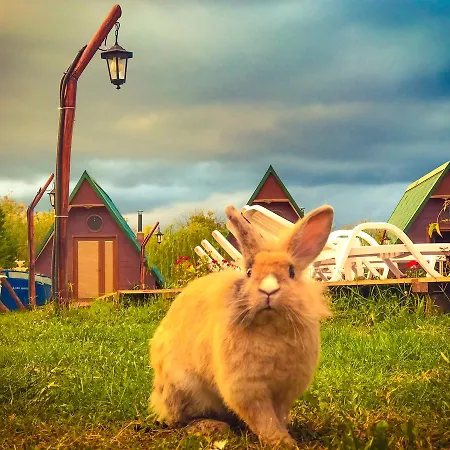 Hotel Nirvana Dream Garden Ağva