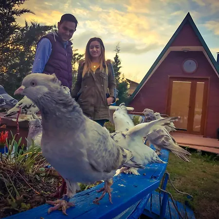 Hotel Nirvana Dream Garden Ağva