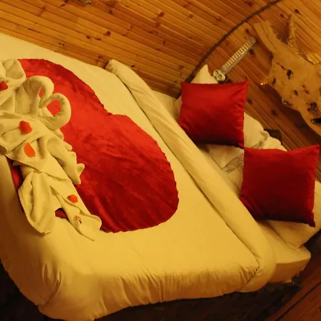 Hotel Nirvana Dream Garden