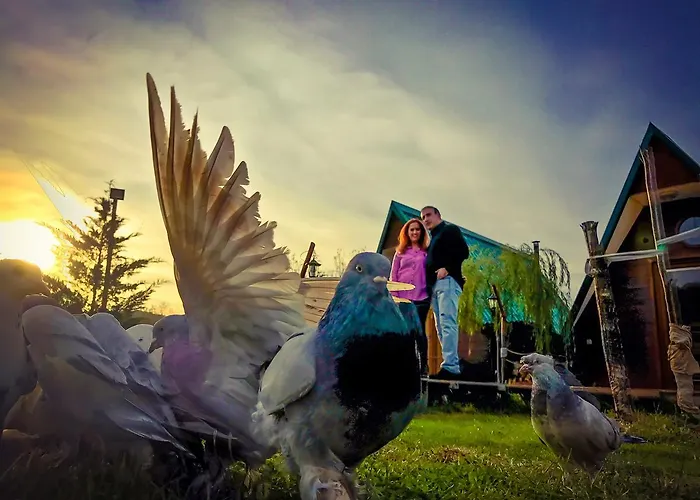 Hotel Nirvana Dream Garden Ağva