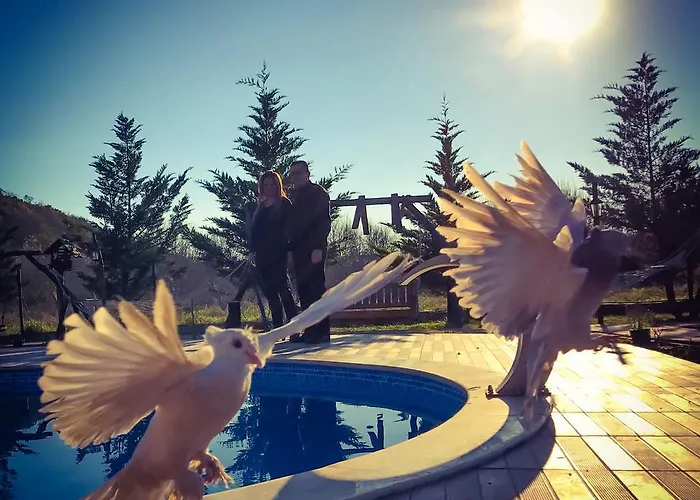 Hotel Nirvana Dream Garden