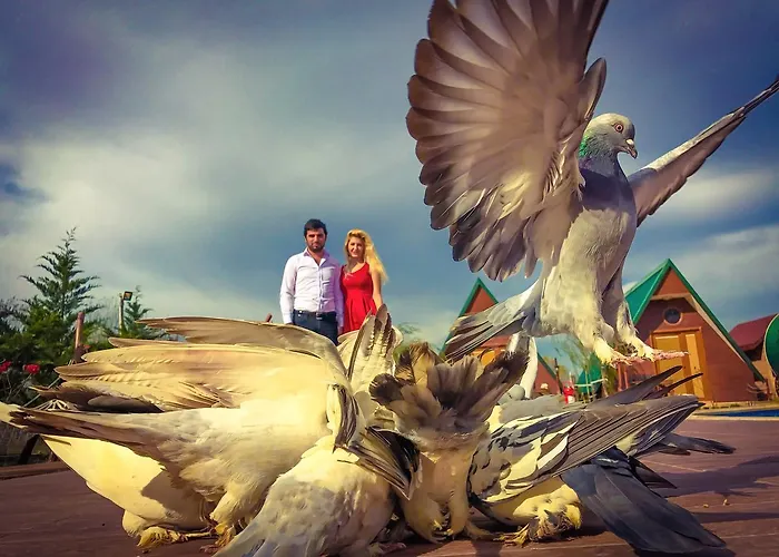 Nirvana Dream Garden