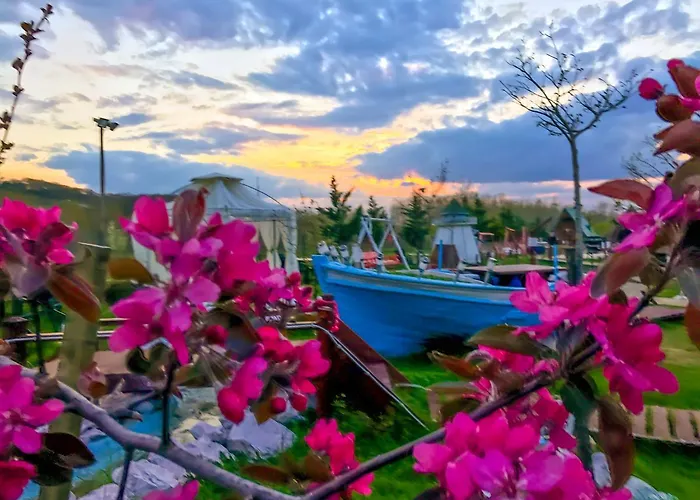 Hotel Nirvana Dream Garden