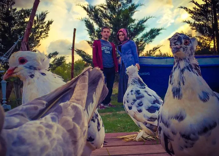 Nirvana Dream Garden Hotel *