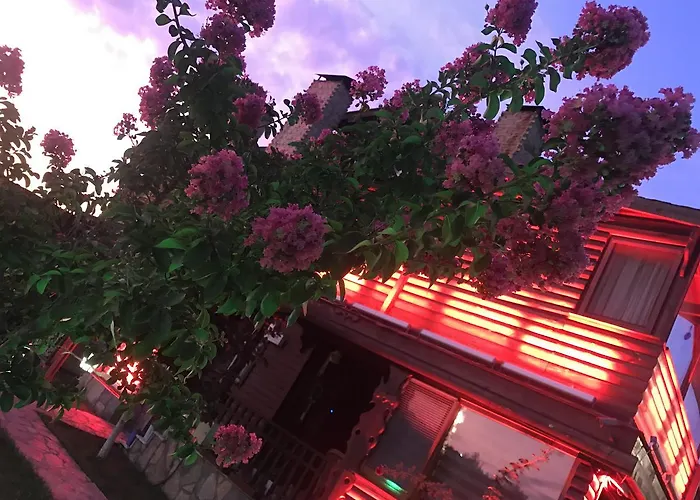 Nirvana Dream Garden Hotel