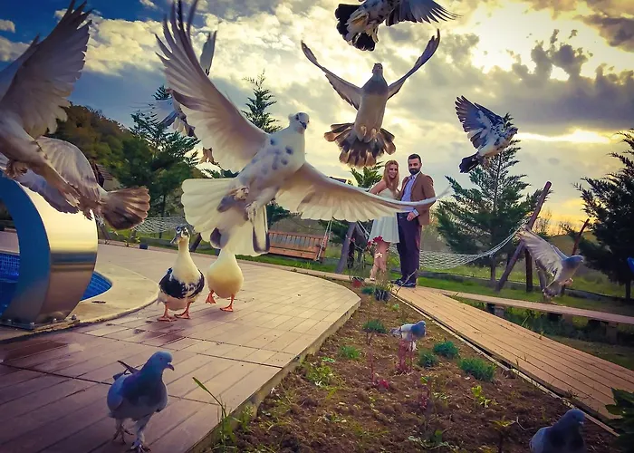 Hotel Nirvana Dream Garden Ağva