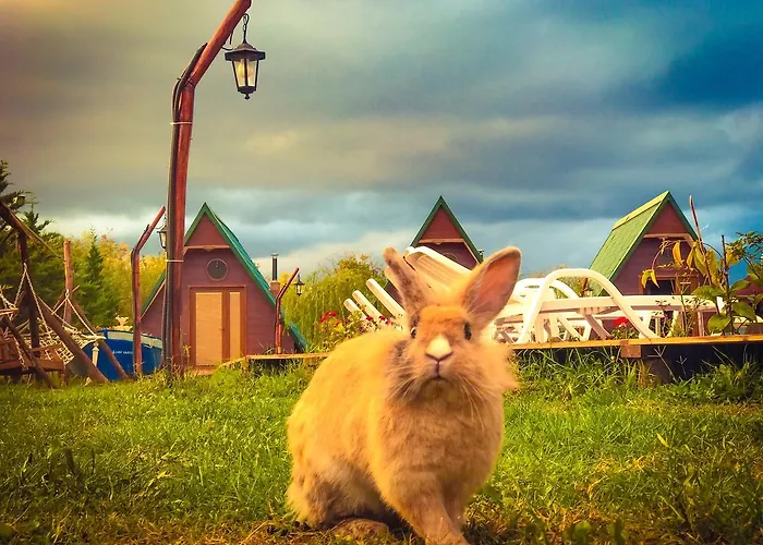 Hotel Nirvana Dream Garden Ağva